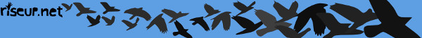 riseup-masthead-blue