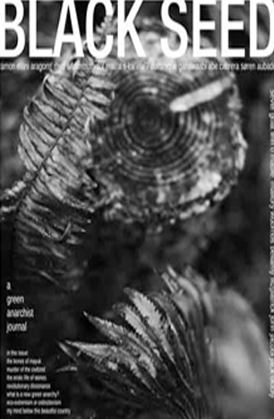 black_seed_5