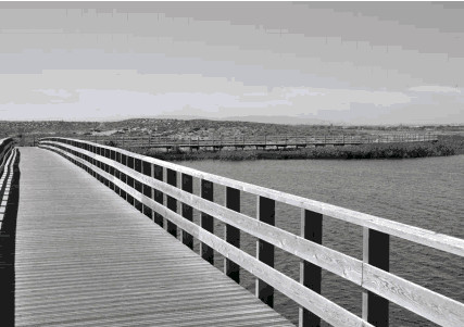 Ameaçado o último troço de costa natural do centro do algarve