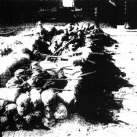 A Revolta de Fevereiro de 1927