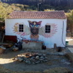 coruja