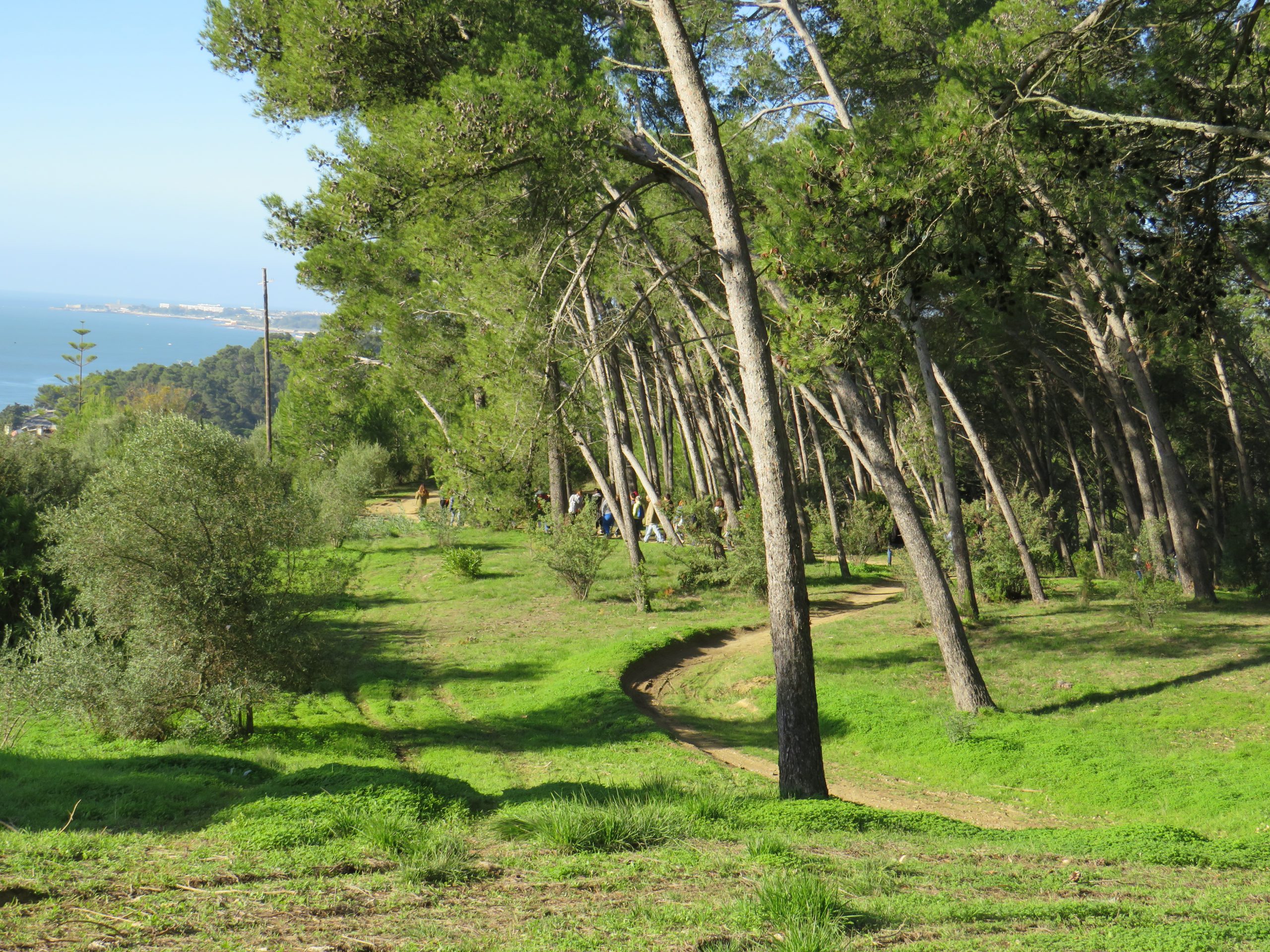 Salvar o Jamor e a Serra de Carnaxide