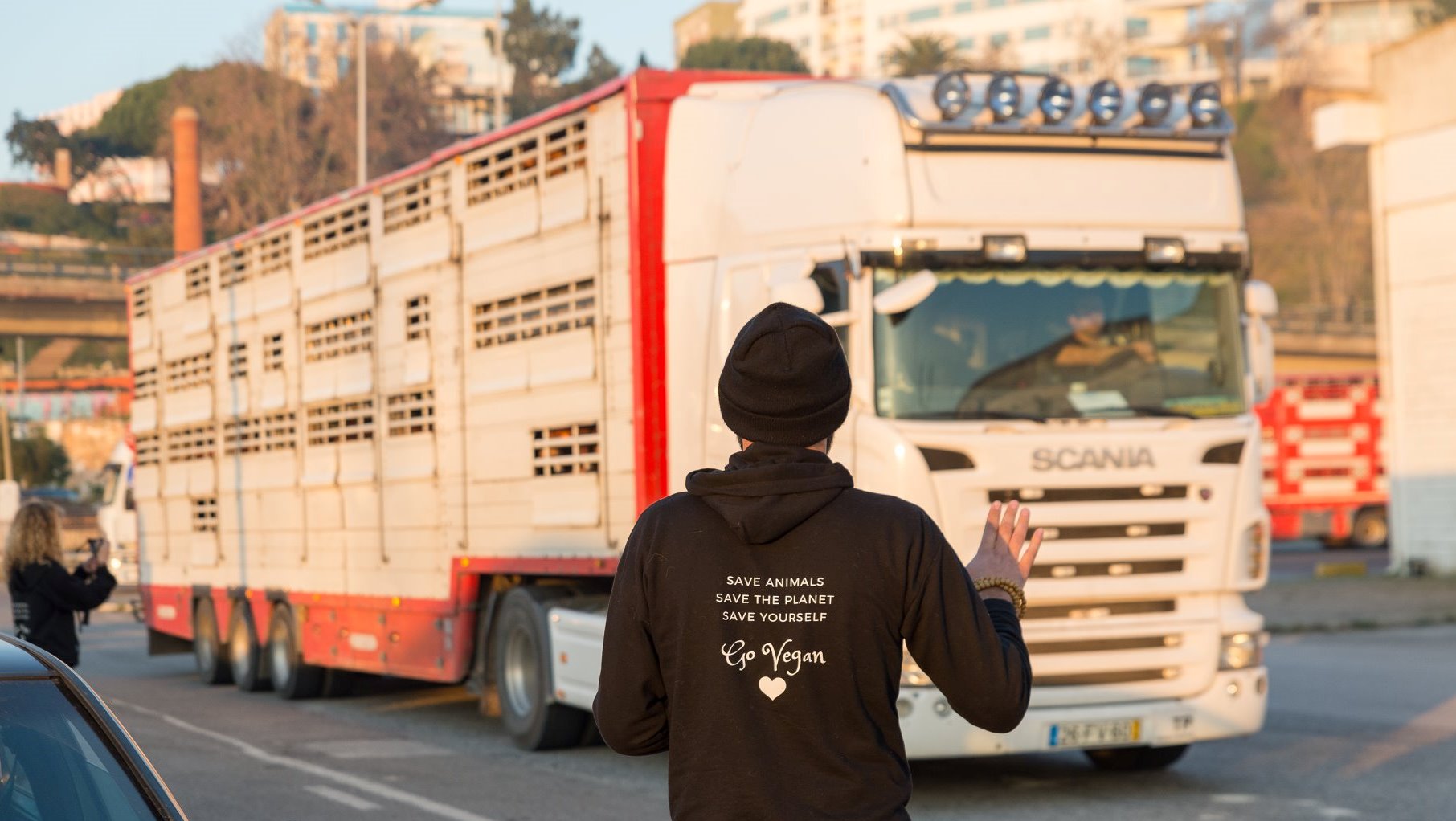Sofrimento Animal: De Portugal a Israel