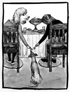 Humaniza(cão)