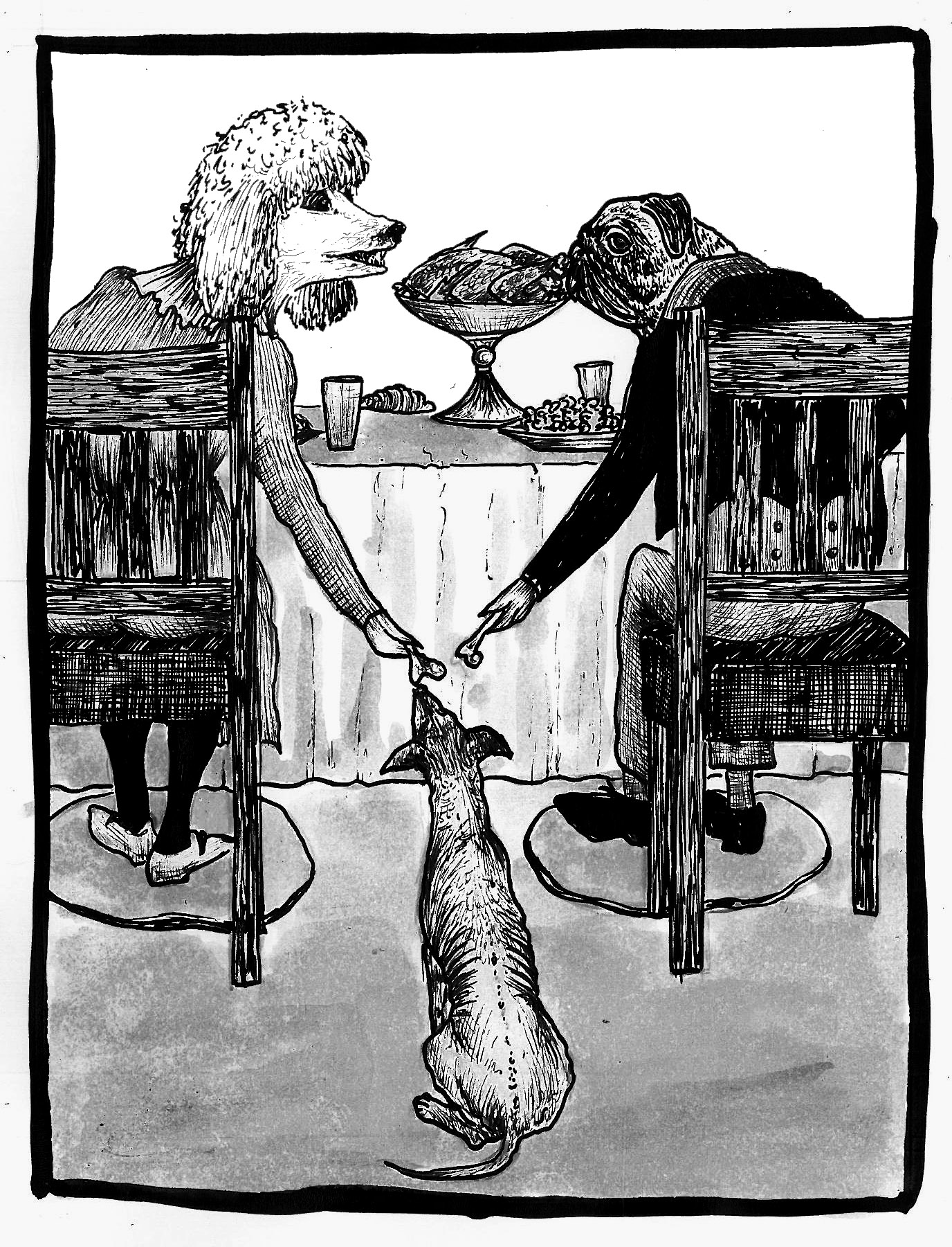 Humaniza(cão)