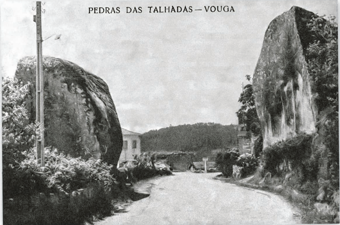 Contra a floresta arregimentada, pelos terrenos comunitários