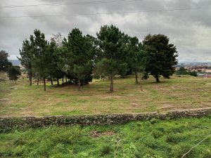 contumil