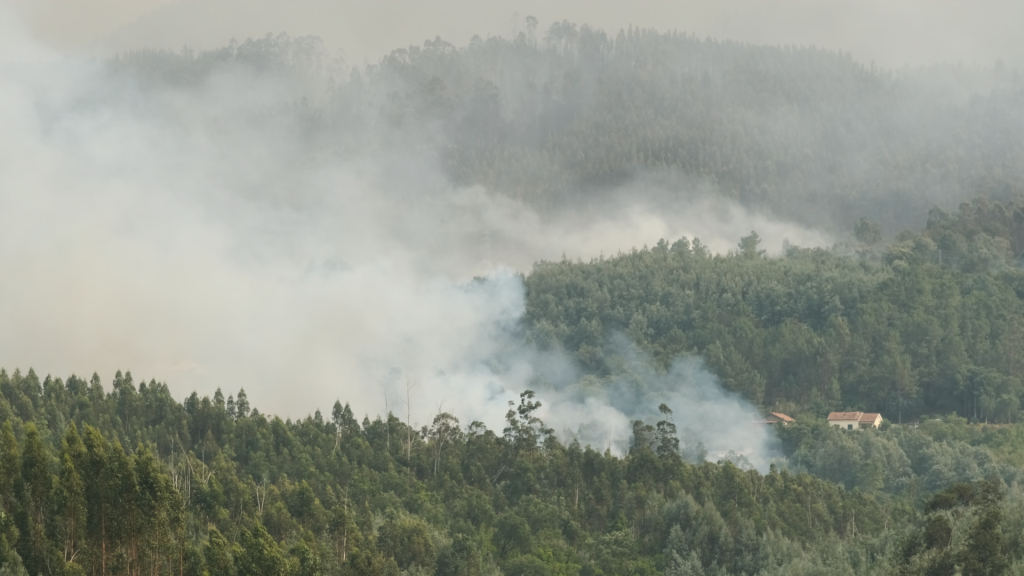 Veio o fogo e respondemos todos juntos
