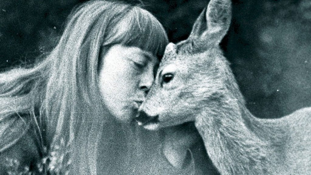 Simona Kossak, a mãe da floresta